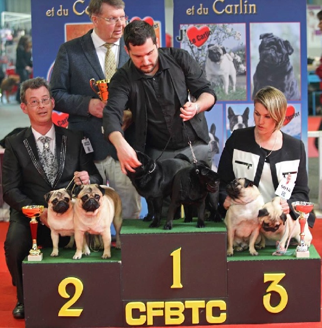 Pitch Black Face Pugs - 2nd PLUS BEAU COUPLE de la NATIONAL d'ELEVAGE !!!