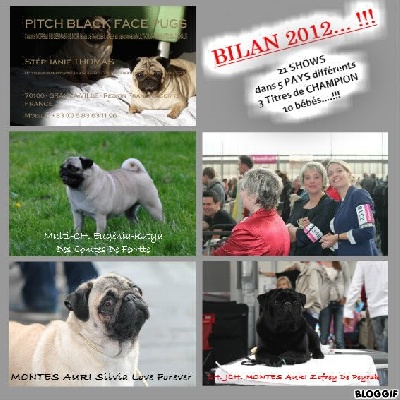 Pitch Black Face Pugs - BILAN 2012... !!!