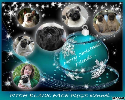 Pitch Black Face Pugs - JoYeUx NoËl... MeRrY cHrIsTmAs... С Рождеством Христовым ... 