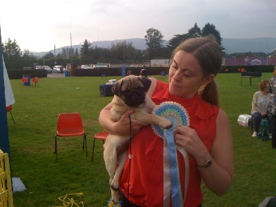 Pitch Black Face Pugs - Haute Couture Benico.... 1er SHOW... Rés. BEST IN SHOW !!!! WAOooo...