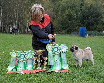 Pitch Black Face Pugs - SPECIALITY DOG SHOW PUG in MOSCOU !!!!