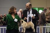  -  NANTES (Fr)... 2 DOG SHOWS = 2 BEST OF BREED for Hocus Pocus !!!