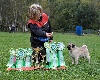  - SPECIALITY DOG SHOW PUG in MOSCOU !!!!