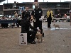  - SPECIALITY OF BREED / Inter. Dog Show Mechelen.... BEST OF BREED !!!