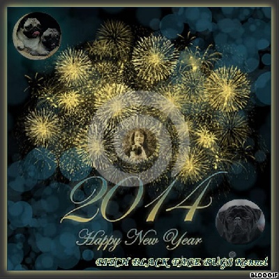 Pitch Black Face Pugs - Bonne Nouvelle Année... HaPpY nEW yEaR... С Новым годом  !!!