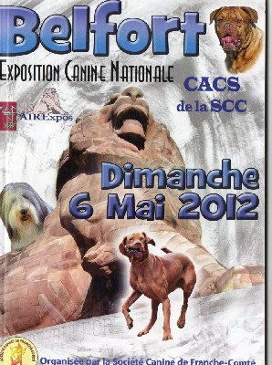 Pitch Black Face Pugs - Exposition Nationale de BELFORT...!!!