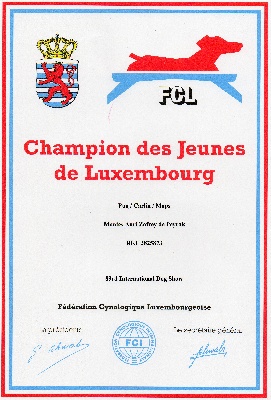 Pitch Black Face Pugs - Zofrey : JEUNE CHAMPION du LUXEMBOURG 2011 !!!