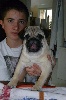 PITCH BLACK FACE PUGS Handsome