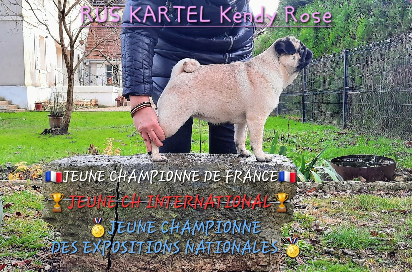 Multi JCH. RUS KARTEL Kendy Rose