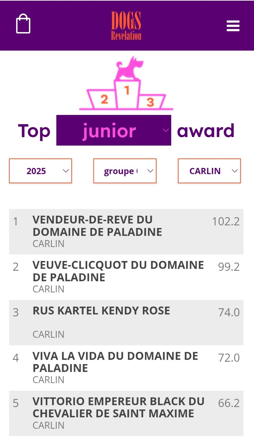 ✨ Multi. JCh. RUS KARTEL KENDY ROSE aka Rozita 3ème TOP JUNIOR CARLIN 2025✨