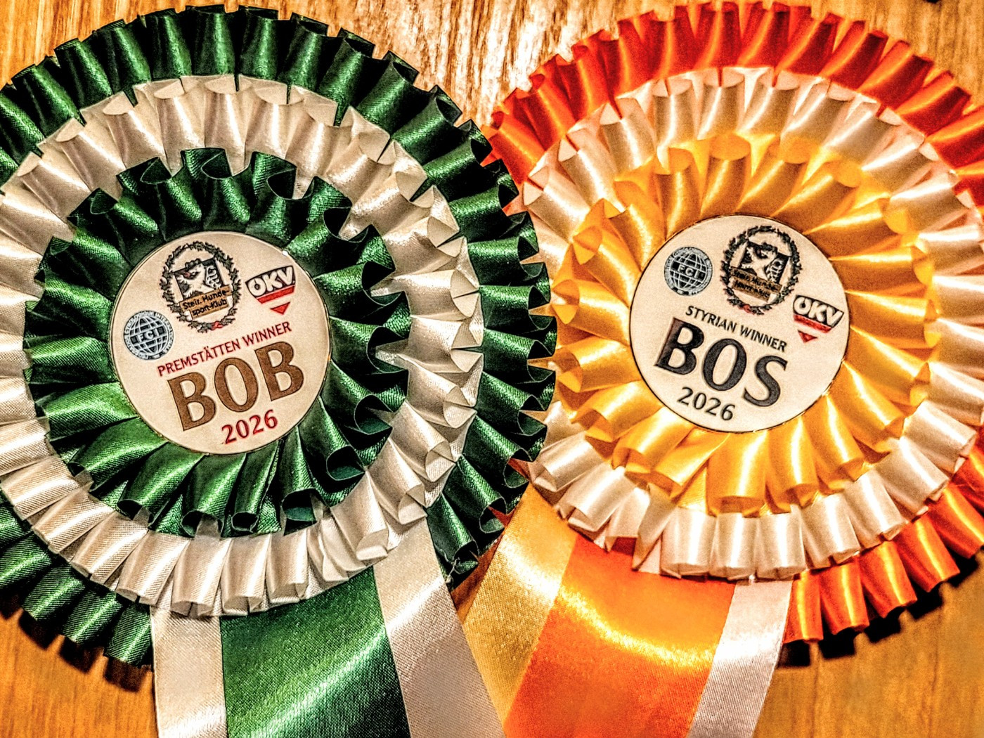 PREMSTÄTTEN WINNER SHOWS 2026