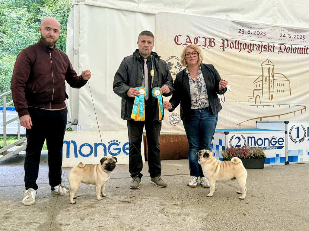 CACIB POLHOGRAJSKI DOLOMITI 2025 inc. (SLOVÉNIE)